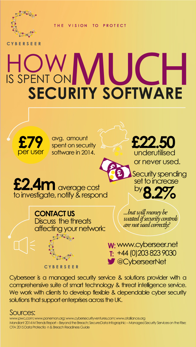INFOGRAPHIC How Much Is Spent On Security Software