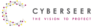 Cyberseer the vision to protect
