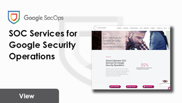 View SOC Services for Google Security